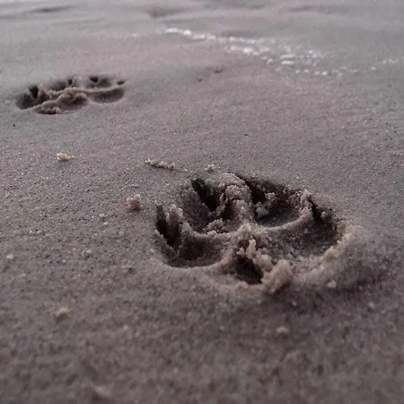 Seapark Дом отдыха *